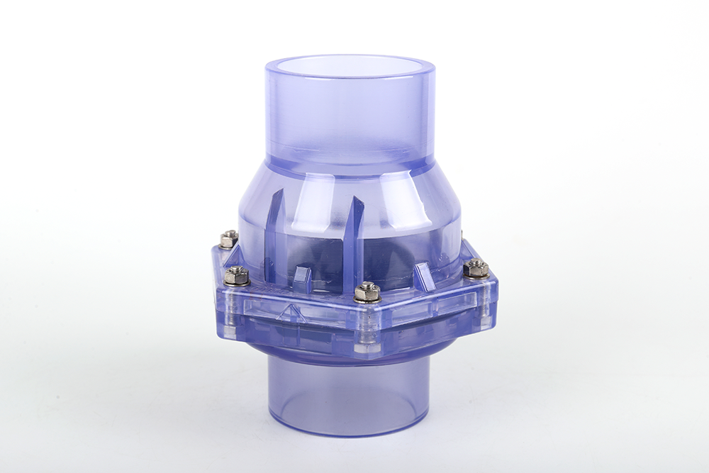 靖西透明翻板式止回阀